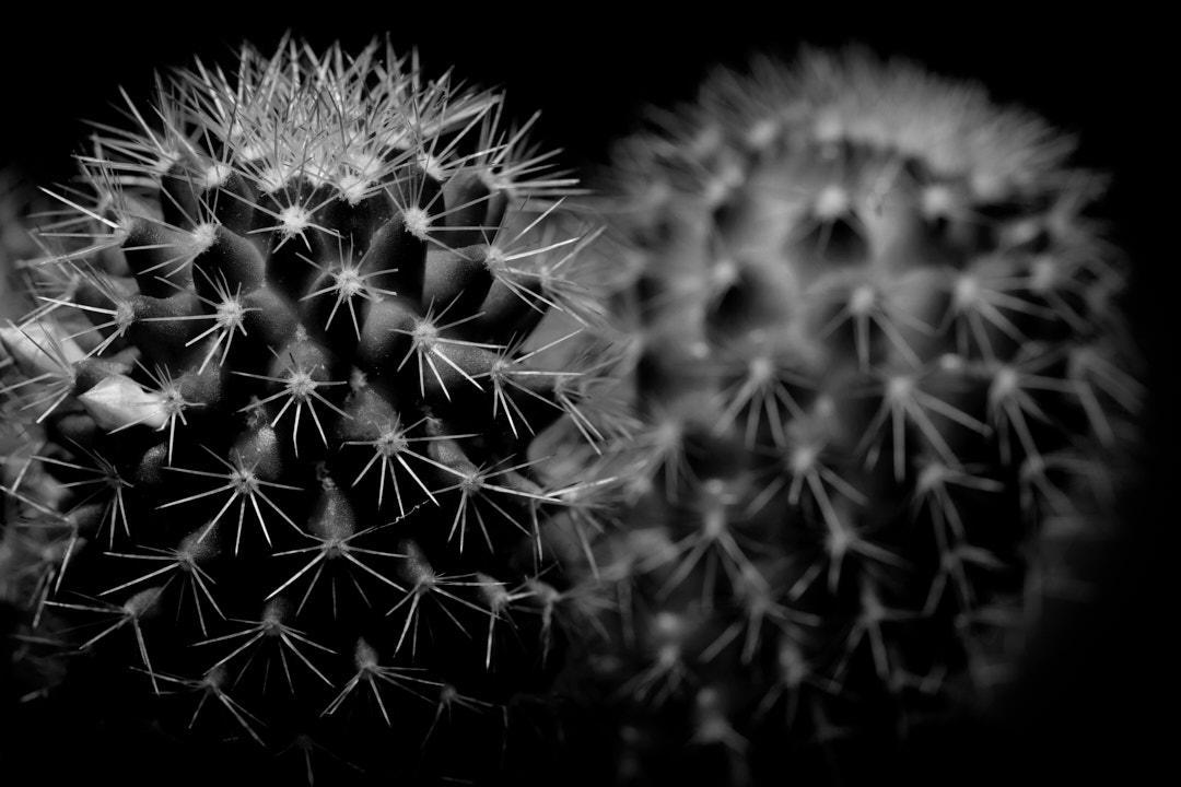 © Henrik Wessmann