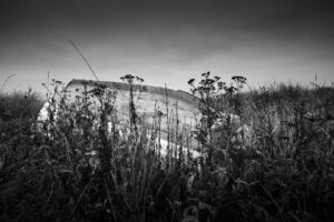 © Henrik Wessmann