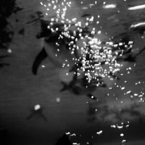 © Henrik Wessmann