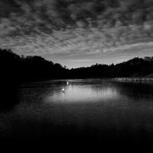 © Henrik Wessmann