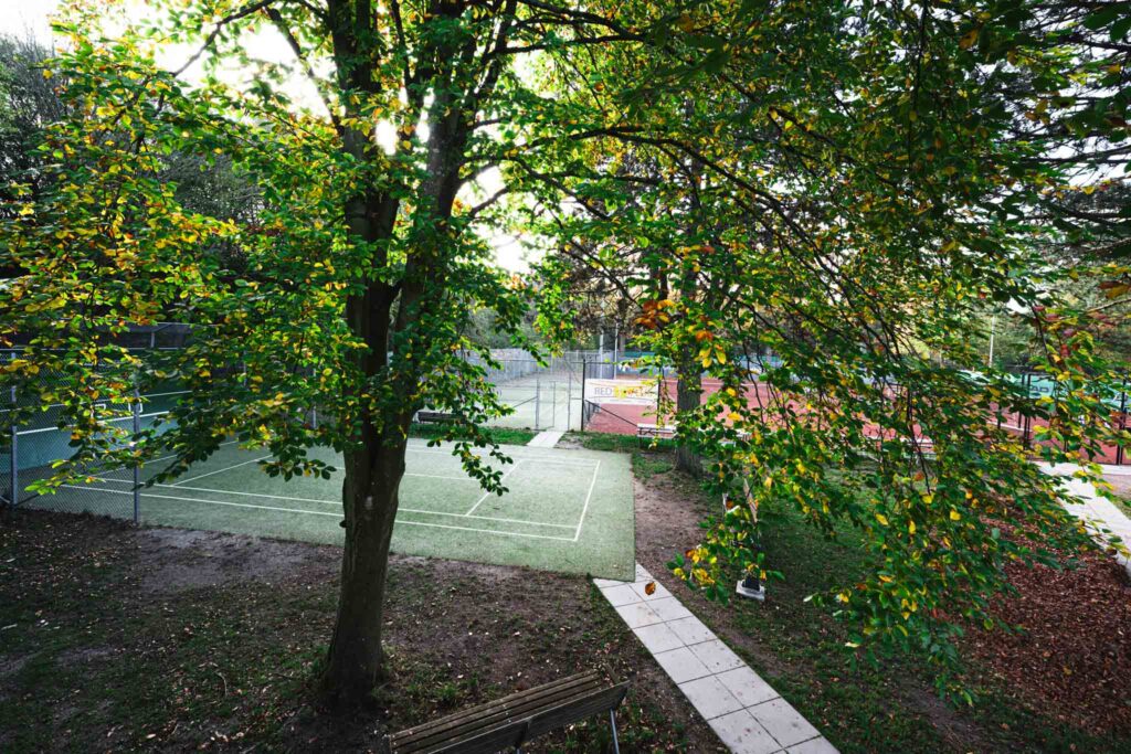 Rødovre Tennisklub © Henrik Wessmann / 2024