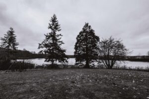 Skjoldenæsholm Slot Hotel og konfencecenter