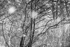 © Henrik Wessmann