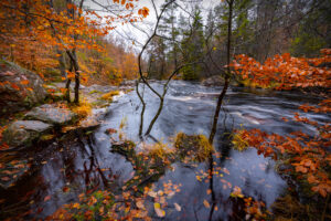 "Fall in Sweden I" © Henrik Wessmann