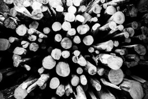 "Firestack" © Henrik Wessmann