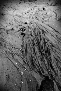 "Nature Make Marks 1" © Henrik Wessmann