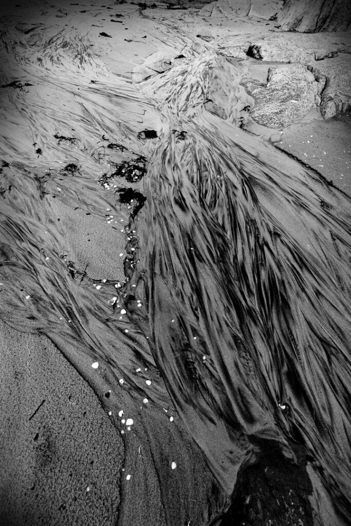 "Nature Make Marks 1" © Henrik Wessmann