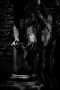 "Rose Noir" © Henrik Wessmann