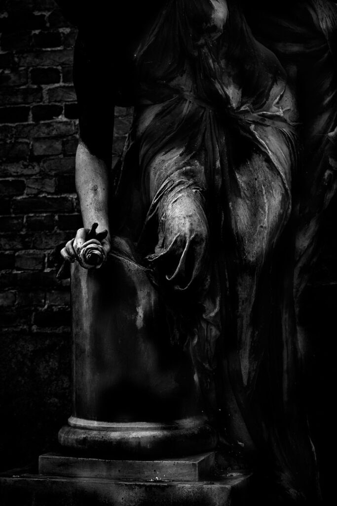 "Rose Noir" © Henrik Wessmann